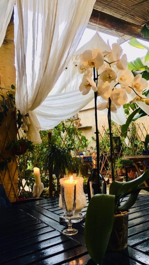 Botanica B&B 자프라 외부 사진