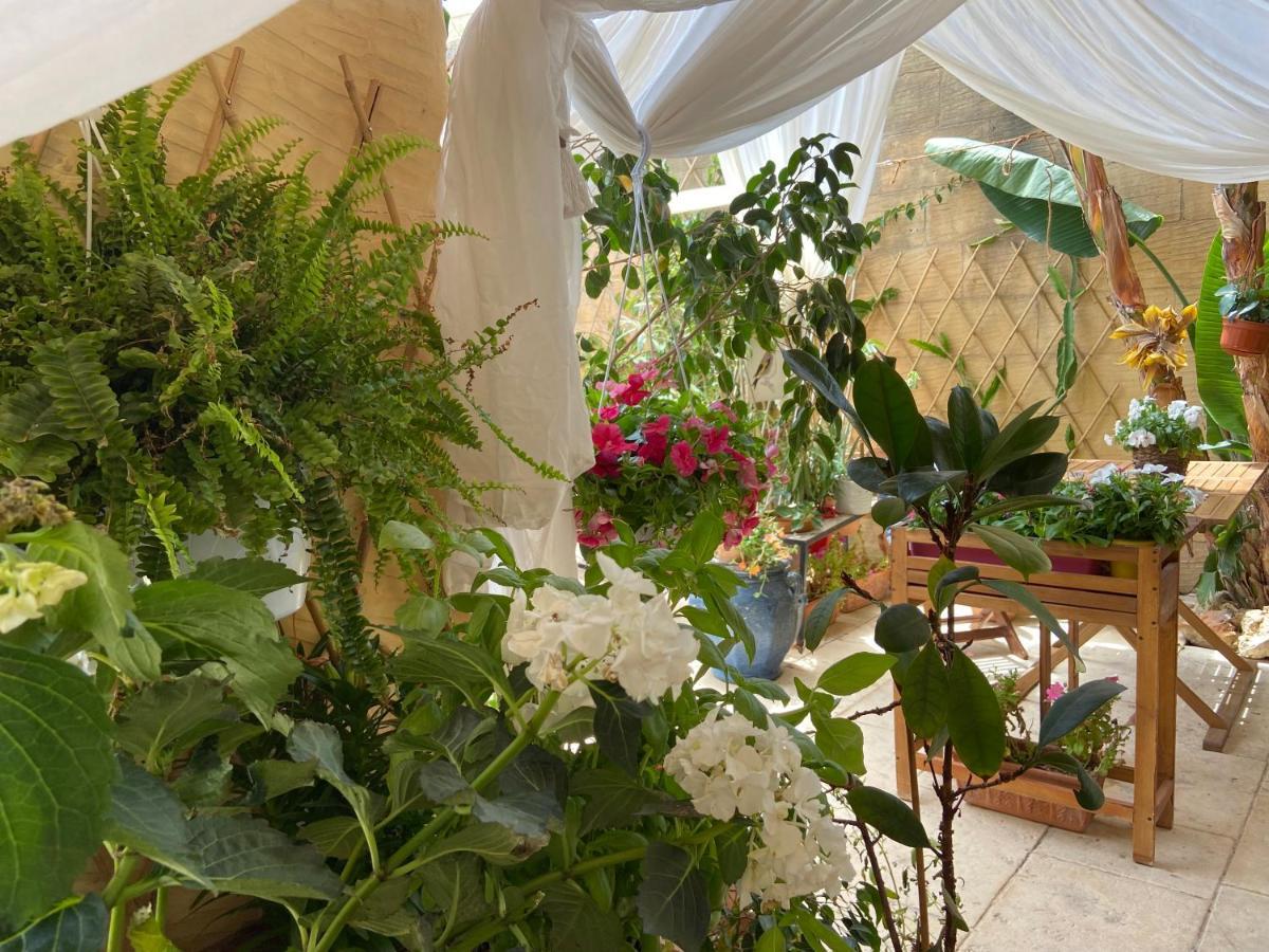 Botanica B&B 자프라 외부 사진